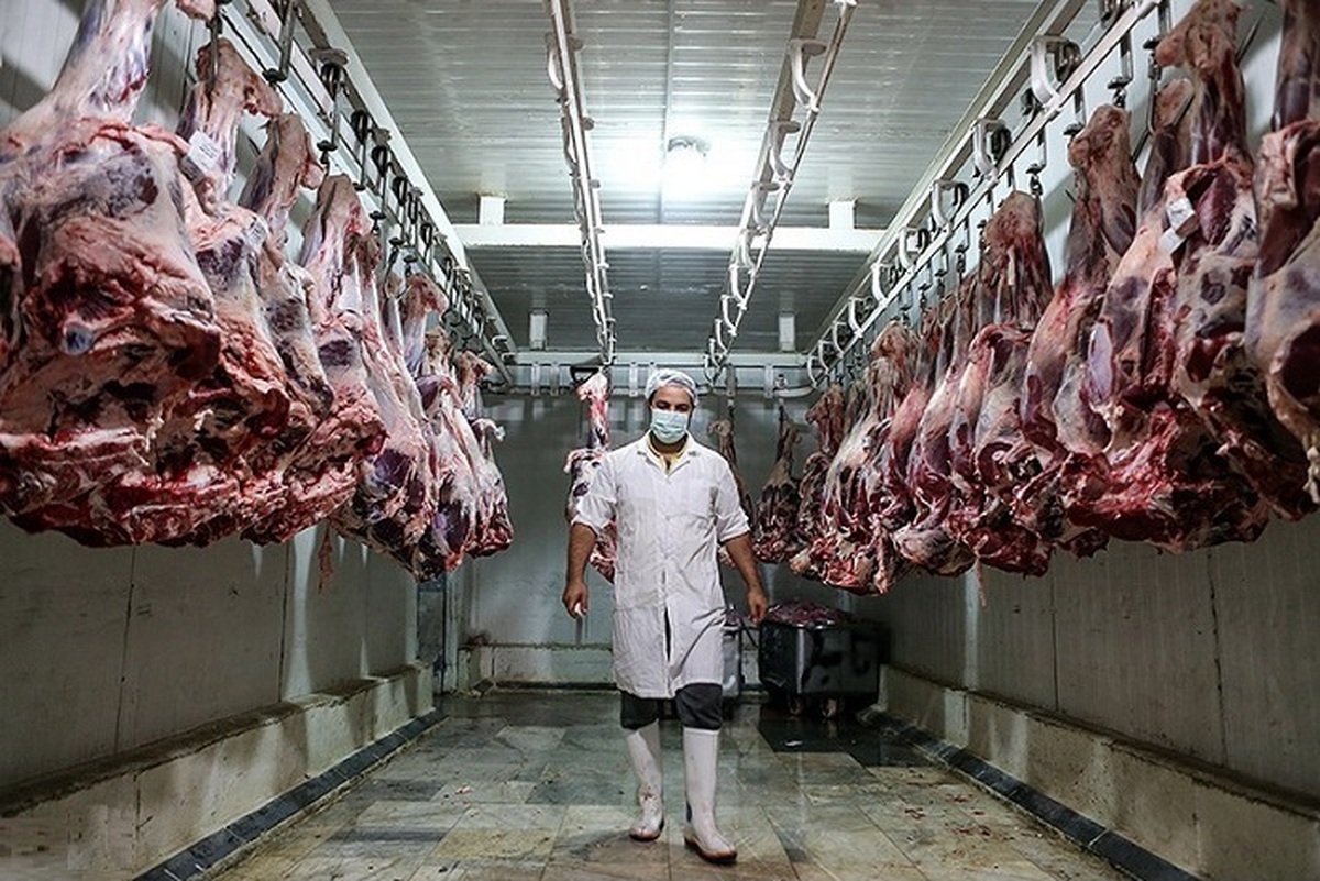 لعنت به گوشت، امان از تن ماهی | روایت‌های رسمی از قیمت اقلام خوراکی