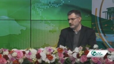 استقبال گیلانی‌ها از طرح فجرانه کالابرگ الکترونیکی؛ دسترسی ۳۶۱ فروشگاه مسدود شد