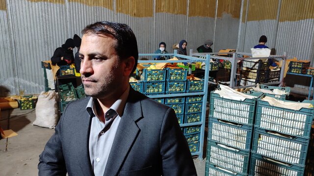 ذخیره‌سازی ۲۰ هزار تنی میوه شب عید در کشور
