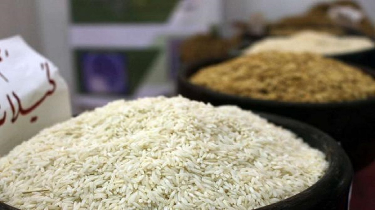 قیمت تمام شده هرکیلو برنج محلی ۷۰ تا ۸۰ هزار تومان است!