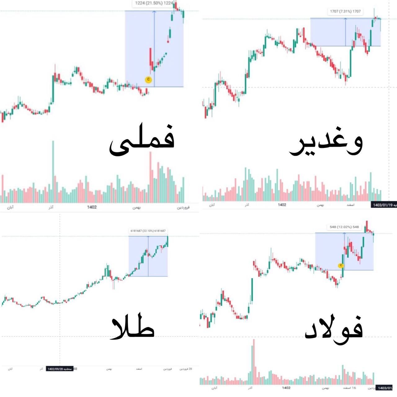 تحلیلی برای خرید مطمئن بازار سهام در سال 1403 / کدام نمادها پرتفوی سهامداران را بیمه می کنند؟