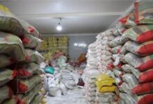 چه کسانی کالاهای اساسی را احتکار می‌کنند؟/ واکنش وزارت جهاد کشاورزی