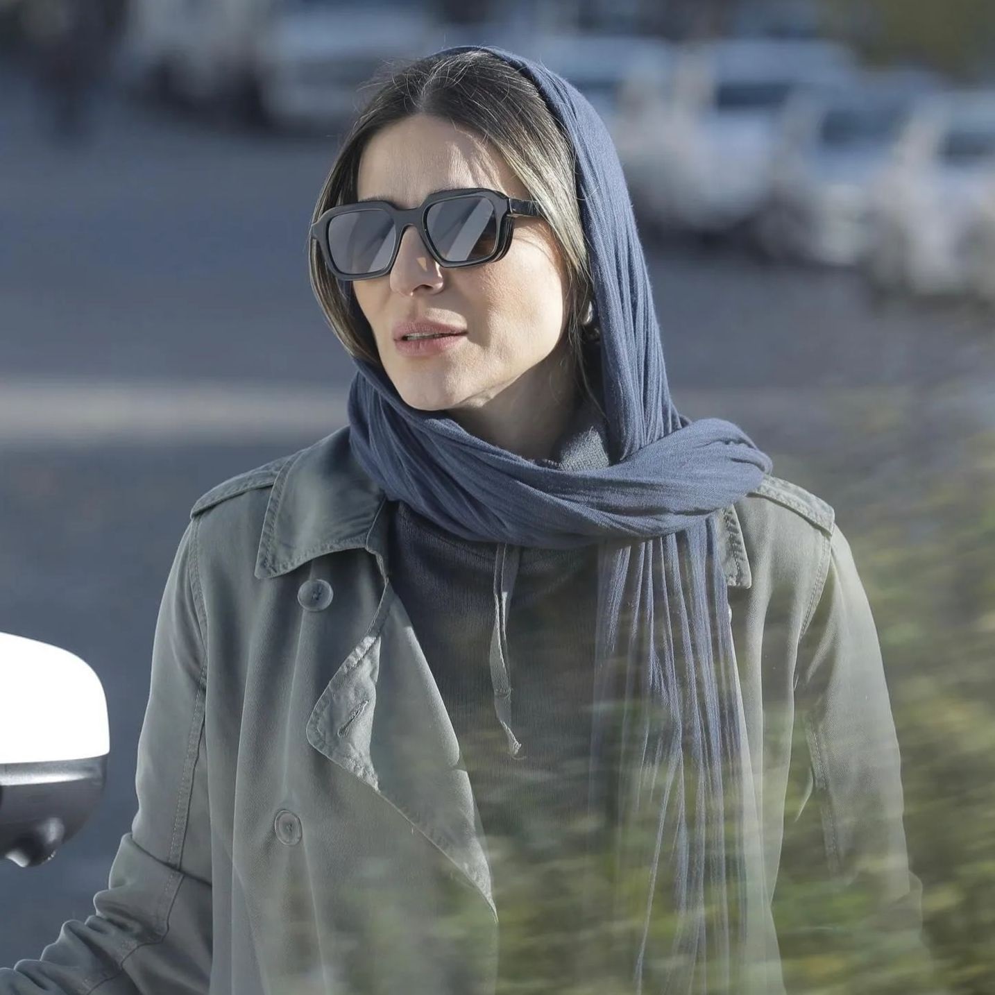 هفت زنی که این روزها به خانه های ایرانی سر می زنند