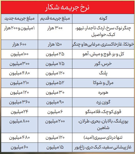 شغلی غیرقانونی اما پرسود در ایران