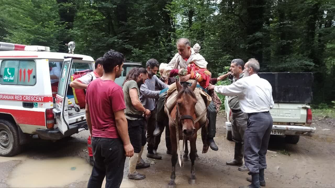 یک محیط بان گیلانی در حمله خرس به شدت مجروح شد