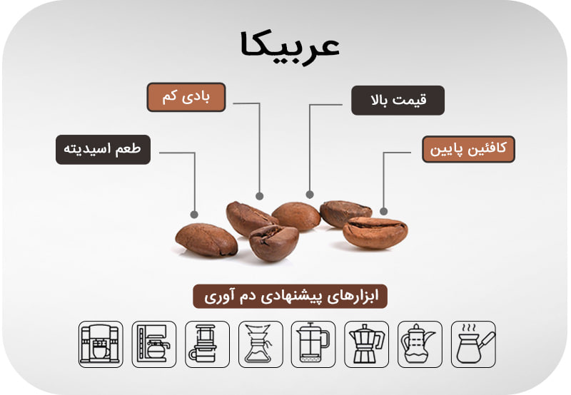 قهوه عربیکا و ابزار دم کردن