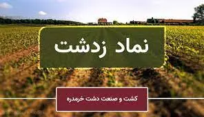 افشای داغ در کدال; عرضه اولیه با سود میلیاردی و معجزه بورس در افزایش سرمایه تکان دهنده