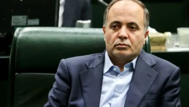 اصلاح قیمت تضمینی گندم سالی یک بار انجام می‌شود / اطلاعی از جلسه جدید برای تغییر قیمت تضمینی گندم ندارم
