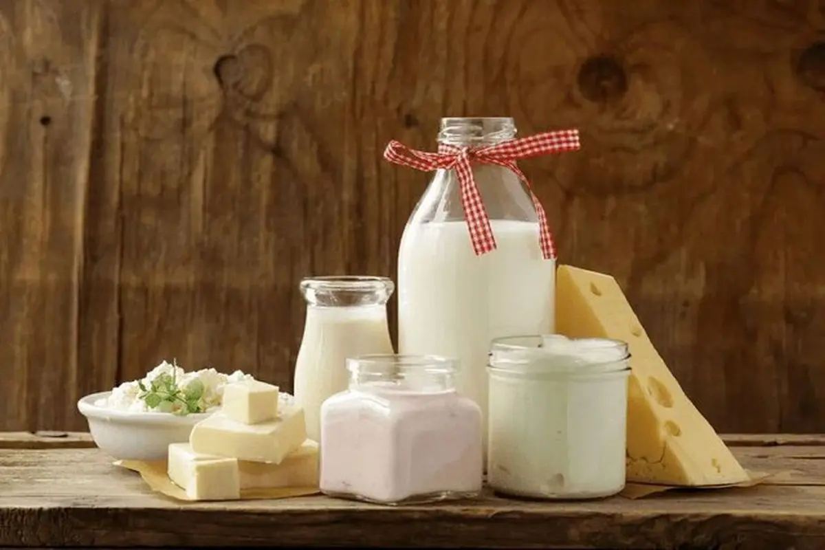 افزایش چندباره قیمت لبنیات در راه است – تجارت نیوز