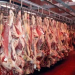 افزایش ۱۸ درصدی عرضه گوشت قرمز