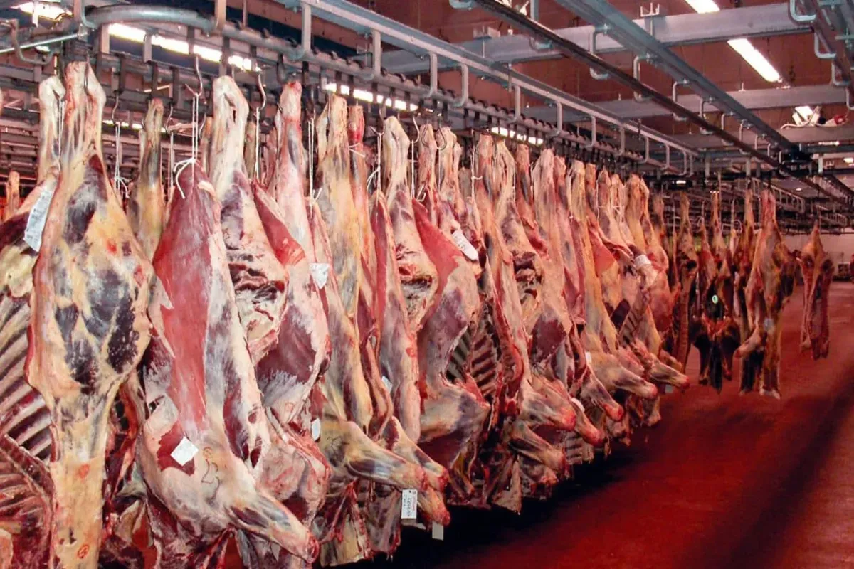 افزایش ۱۸ درصدی عرضه گوشت قرمز