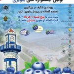 بندر انزلی میزبان جشنواره برداشت بلوبری؛ معرفی محصولی نوین با ظرفیت‌های اقتصادی فراوان