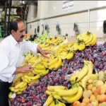 افزایش قیمت موز