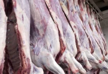 حذف ارز ترجیحی واردات گوشت چه تاثیری بر قیمت گوشت دارد؟