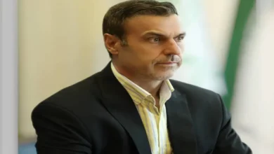 محمد تقی فیاضی