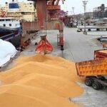 خبر مهم درباره اصلاح قیمت گندم/ قیمت جدید اعلام شد