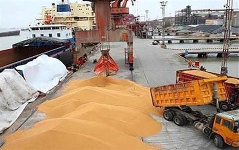 خبر مهم درباره اصلاح قیمت گندم/ قیمت جدید اعلام شد