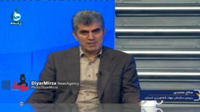 در سال ۱۴۰۱ به کشاورزان گیلانی جفا شد | جلوی واردات بی‌رویه گرفته شود، بازار خودش تنظیم می‌شود