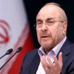 قالیباف: دولت حق قیمت‌گذاری ندارد