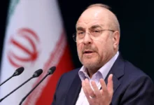 قالیباف: دولت حق قیمت‌گذاری ندارد