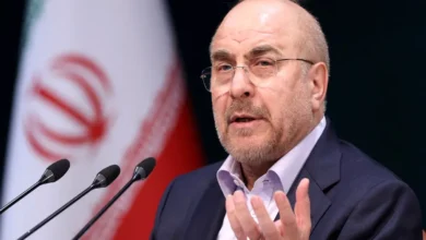 قالیباف: دولت حق قیمت‌گذاری ندارد