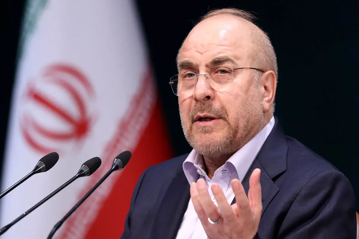 قالیباف: دولت حق قیمت‌گذاری ندارد
