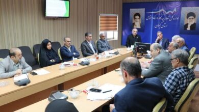 ساماندهی صنعت چای، منافع همه ذی‌نفعان را تضمین می‌کند | پیشنهاد تشکیل تعاونی تأمین نیاز کارخانجات چای