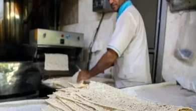 قیمت نان