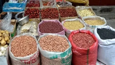 شوک دوباره به بازار حبوبات/ قیمت نخود ۱۴۱ درصد و‌ قیمت لوبیا قرمز ۱۲۹ درصد افزایش یافت