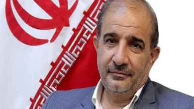 برنج‌های وارداتی