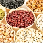 قیمت لوبیا در بازار به نیم میلیون رسیده و هم قیمت گوشت شده است