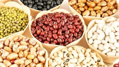 قیمت لوبیا در بازار به نیم میلیون رسیده و هم قیمت گوشت شده است