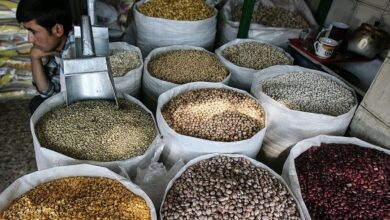 قیمت لوبیا چیتی؛ اولین شوک بازار در سال ۱۴۰۴ | دلیل افزایش قیمت حبوبات چیست