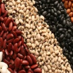 قیمت لوبیا