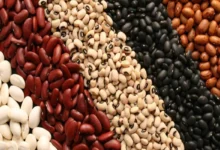 قیمت لوبیا