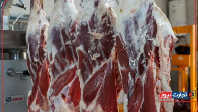 قیمت گوشت قرمز امروز ۵ خرداد ۱۴۰۴+ جدول