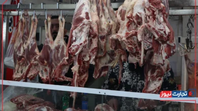 قیمت گوشت قرمز امروز ۷ خرداد ۱۴۰۴ + جدول