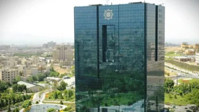 مداخلات دولت در شبکه بانکی گسترده است