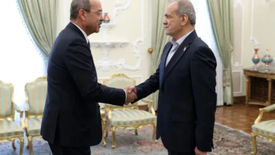 نخست وزیر ازبکستان با رئیس‌جمهور دیدار کرد