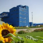 همه چیز از عرضه اولیه حیوانات اهلی زنجیره تایر در فارابورس با دیدگاه توسعه یافته از شرکت سرمایه گذاری و توسعه صنعت لاستیک
