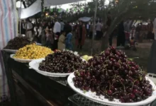 قیمت میوه