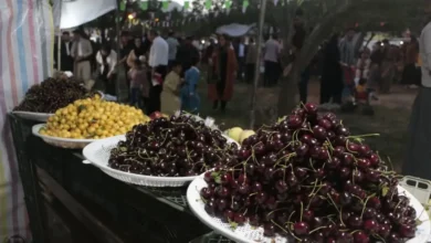 قیمت میوه