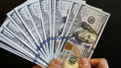 پیش بینی قیمت دلار ۱۳ اردیبهشت ۱۴۰۴ / ورق دلار می‌چرخد؟ – تجارت نیوز
