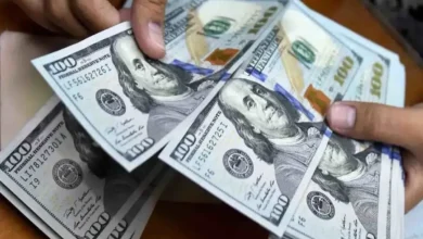 پیش بینی قیمت دلار ۱۴ اردیبهشت ۱۴۰۴ / دلار سرکش شد – تجارت نیوز