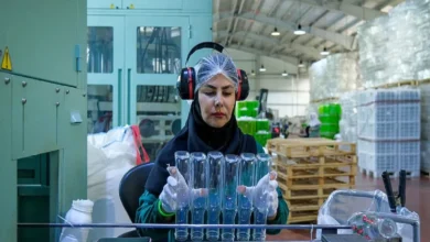 چرا زنان خراسان شمالی نقشی در اقتصاد ندارند؟ – تجارت نیوز