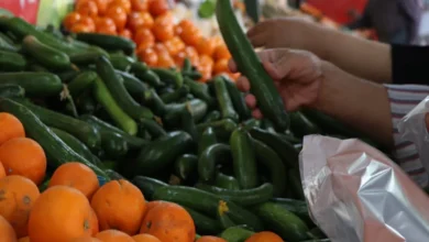 میوه شب عید