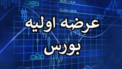 چند عرضه اولیه در بازار سرمایه انجام شد؟