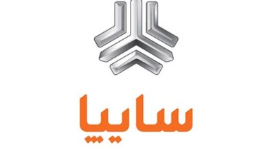 چه کسانی خواستار سایپا هستند؟ / از فرداموتور تا علی انصاری و بابک زنجانی