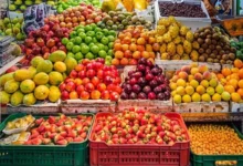 افزایش عرضه میوه و تره‌ بار در میدان مرکزی / قیمت میوه و تره بار کاهش می‌یابد؟