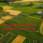 توصیه‌های بهترین وکیل ملکی گیلان برای تفکیک اراضی در مناطق روستایی